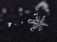 TopRq.com search results: snow flakes