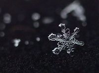 Art & Creativity: snow flakes