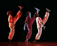 TopRq.com search results: American dance theater Alvin Ailey