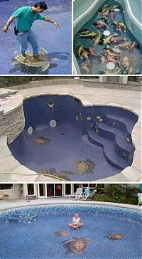 Art & Creativity: 3D street art