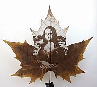 Art & Creativity: Pictures on the leaves