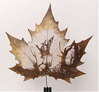 Art & Creativity: Pictures on the leaves