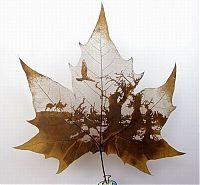 Art & Creativity: Pictures on the leaves