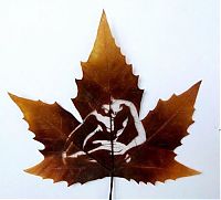 Art & Creativity: Pictures on the leaves