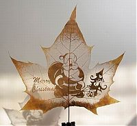 Art & Creativity: Pictures on the leaves
