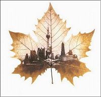 Art & Creativity: Pictures on the leaves