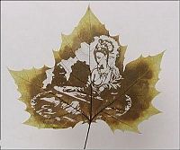 Art & Creativity: Pictures on the leaves