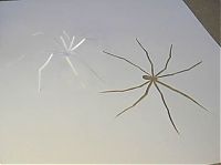 Art & Creativity: creative paper craft art