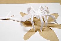 Art & Creativity: creative paper craft art