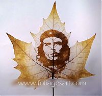 Art & Creativity: pictures on the leaves