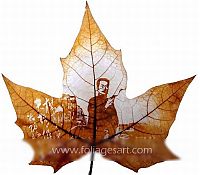 Art & Creativity: pictures on the leaves