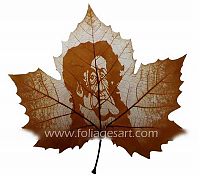 Art & Creativity: pictures on the leaves