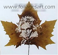 Art & Creativity: pictures on the leaves