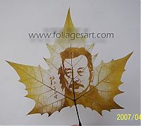 Art & Creativity: pictures on the leaves