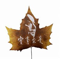 Art & Creativity: pictures on the leaves