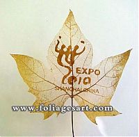 Art & Creativity: pictures on the leaves
