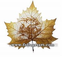 Art & Creativity: pictures on the leaves