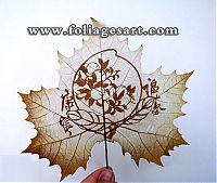 Art & Creativity: pictures on the leaves