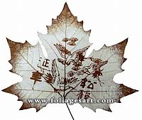 Art & Creativity: pictures on the leaves