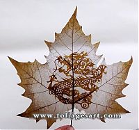 Art & Creativity: pictures on the leaves