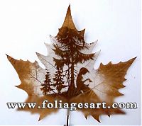 Art & Creativity: pictures on the leaves