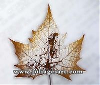 Art & Creativity: pictures on the leaves