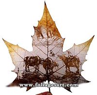 Art & Creativity: pictures on the leaves