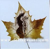 Art & Creativity: pictures on the leaves