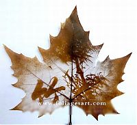 Art & Creativity: pictures on the leaves