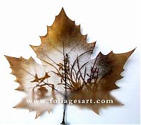 Art & Creativity: pictures on the leaves