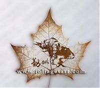 Art & Creativity: pictures on the leaves