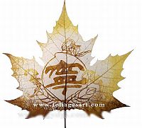 Art & Creativity: pictures on the leaves