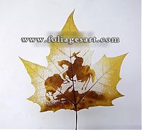 Art & Creativity: pictures on the leaves