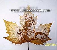 TopRq.com search results: pictures on the leaves