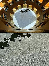 TopRq.com search results: floor art