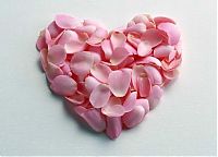 TopRq.com search results: valentine heart