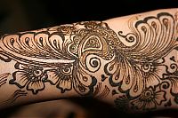 TopRq.com search results: Mehndi Henna Indian tattoos