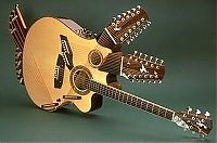 TopRq.com search results: unusual guitar