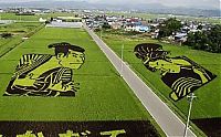 Art & Creativity: japanese rice pictures