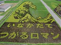 Art & Creativity: japanese rice pictures