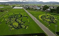 Art & Creativity: japanese rice pictures