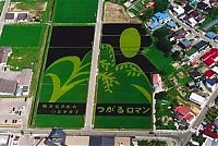 Art & Creativity: japanese rice pictures