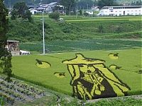 Art & Creativity: japanese rice pictures