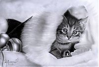 Art & Creativity: pencil drawing