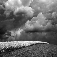 Art & Creativity: black and white landscape photography