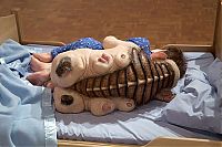 Art & Creativity: Works by Patricia Piccinini