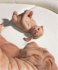 TopRq.com search results: Works by Patricia Piccinini