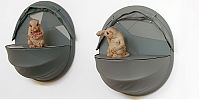 TopRq.com search results: Works by Patricia Piccinini