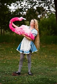 Art & Creativity: Alice's Adventures in Wonderland photo collection