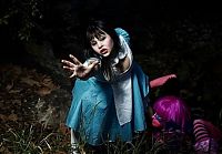 TopRq.com search results: Alice's Adventures in Wonderland photo collection